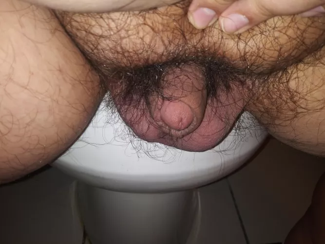 [27] Flaccid dick and balls. by AntiqueAd513