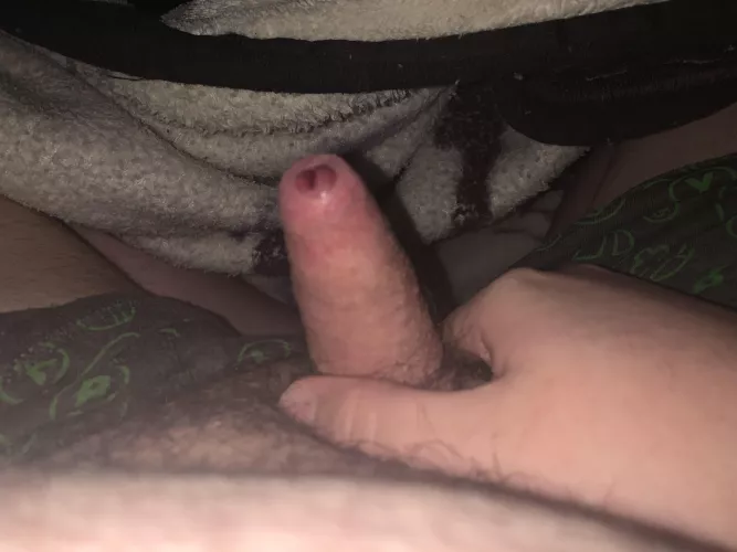 [27] i just woke up to this and this is as hard as i can get. by SmallFunGun