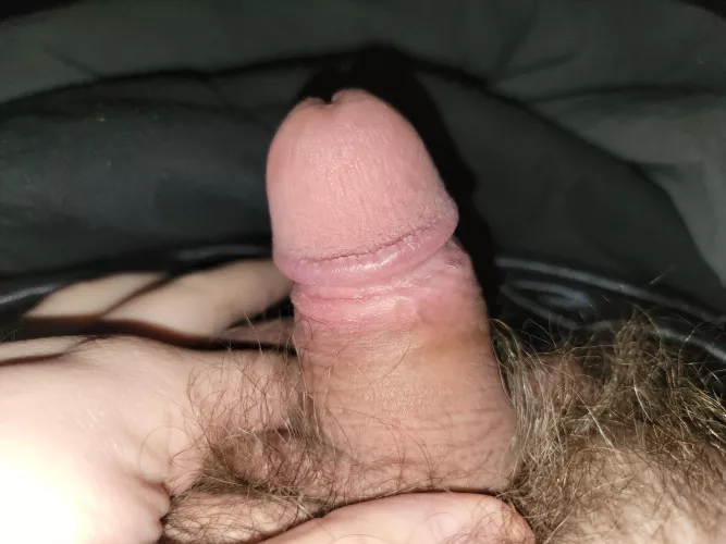 (27) lil 3 inch guy... anyone let him dom them 😜 by Superdingding1