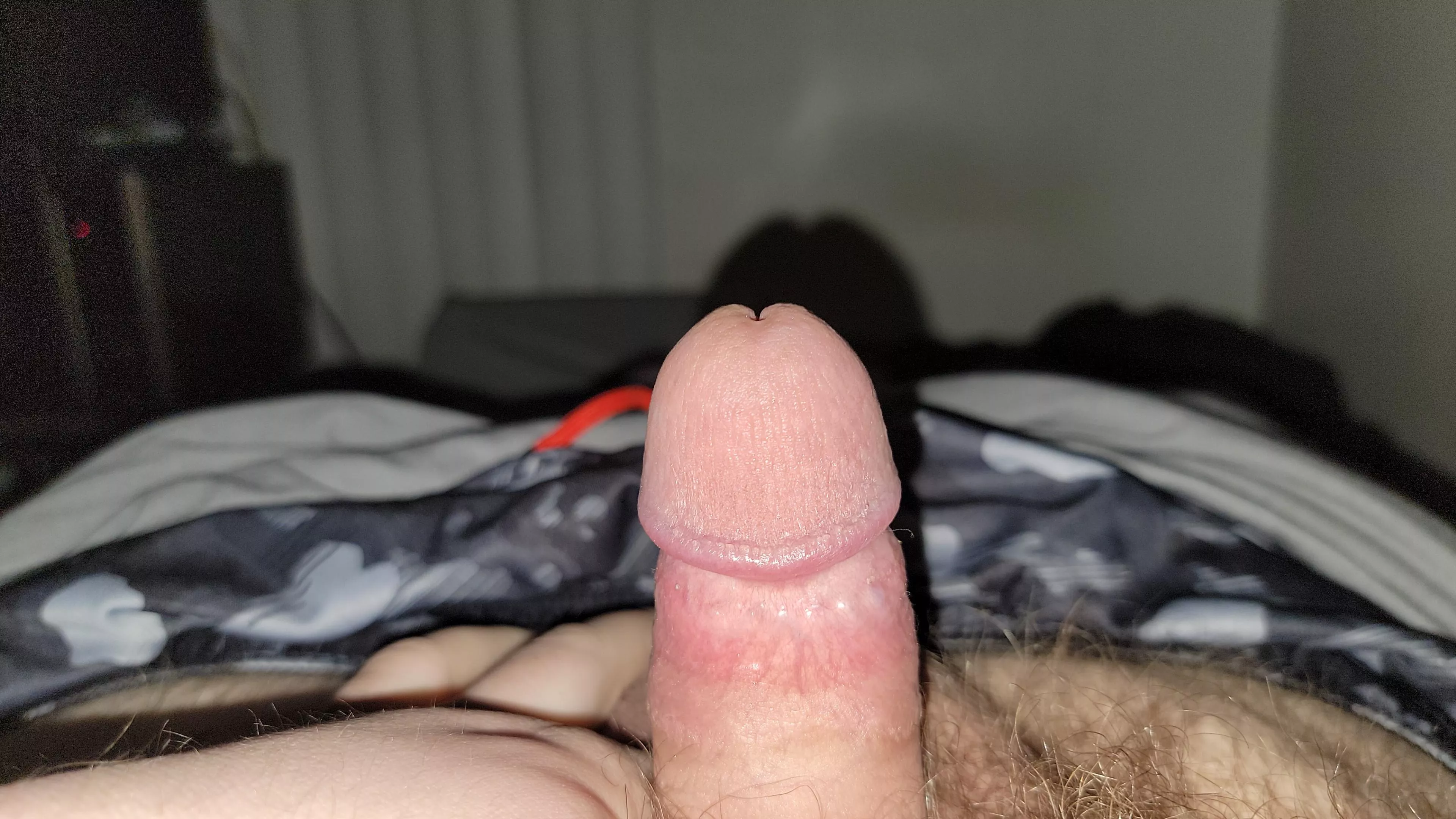 (27) lil 3 inch guy would love to top or dom someone 😉 posted by Superdingding1