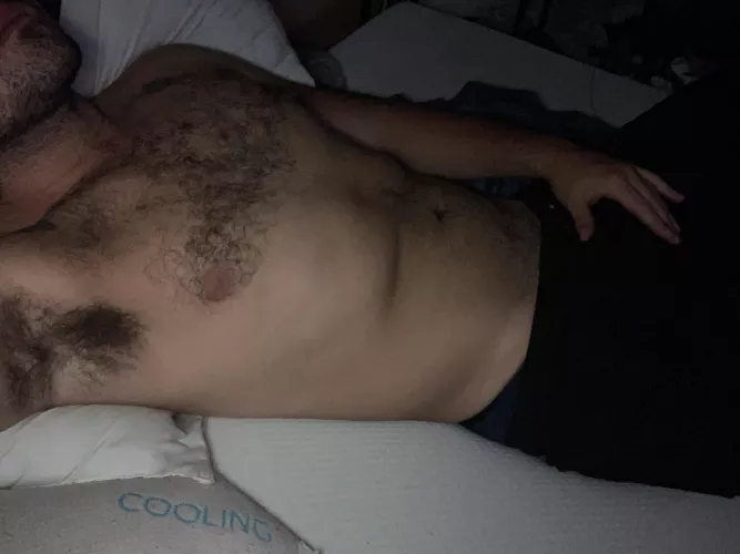 27. Need a cuddle buddy. by Brave-Satisfaction