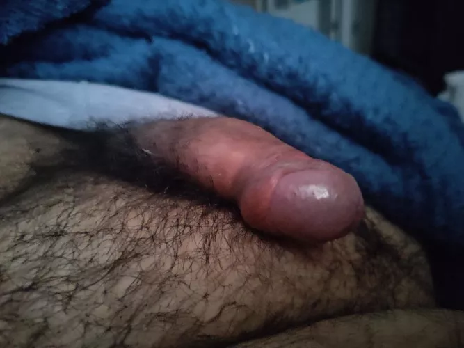 [27] Woke up with a little morning wood. Chat open. by sogruhc