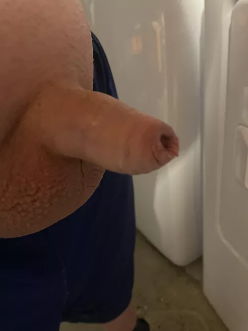 2.75” (40) by Friendly-Jacket-1793