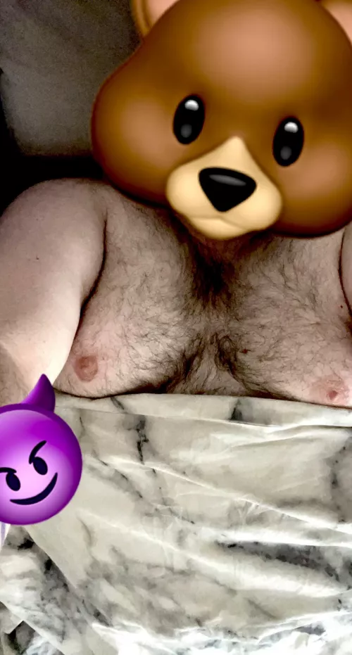 27M - Gay hairy chub, with big tits. Kinky ✅ DMs Open ✅💬 by chubthro