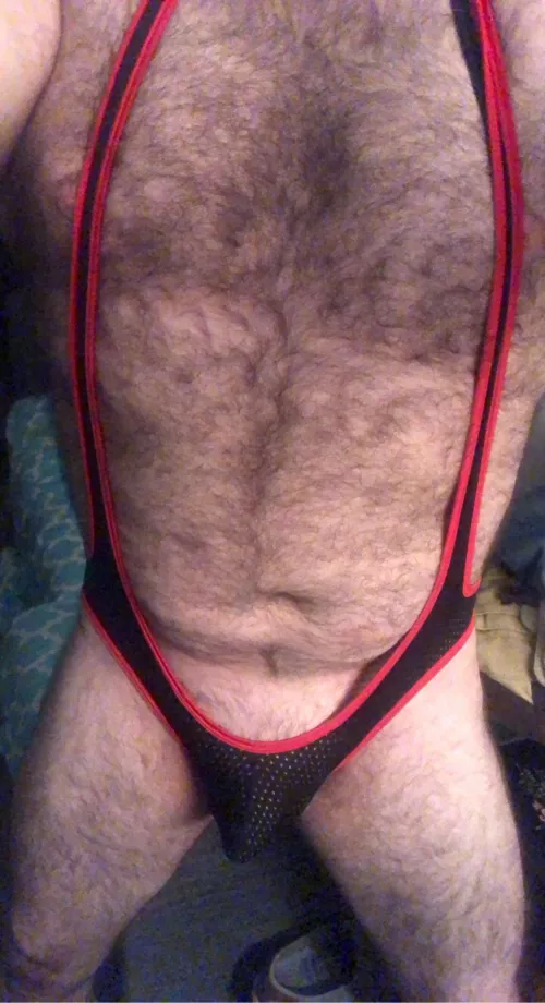 28 m hairy husky guy. Who wants to chat? by darkprince2246