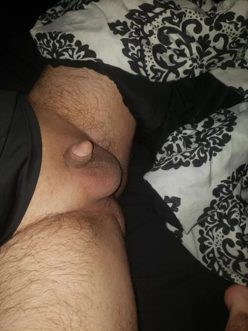 [28] should I post here more? by Sissybetaclittygirl