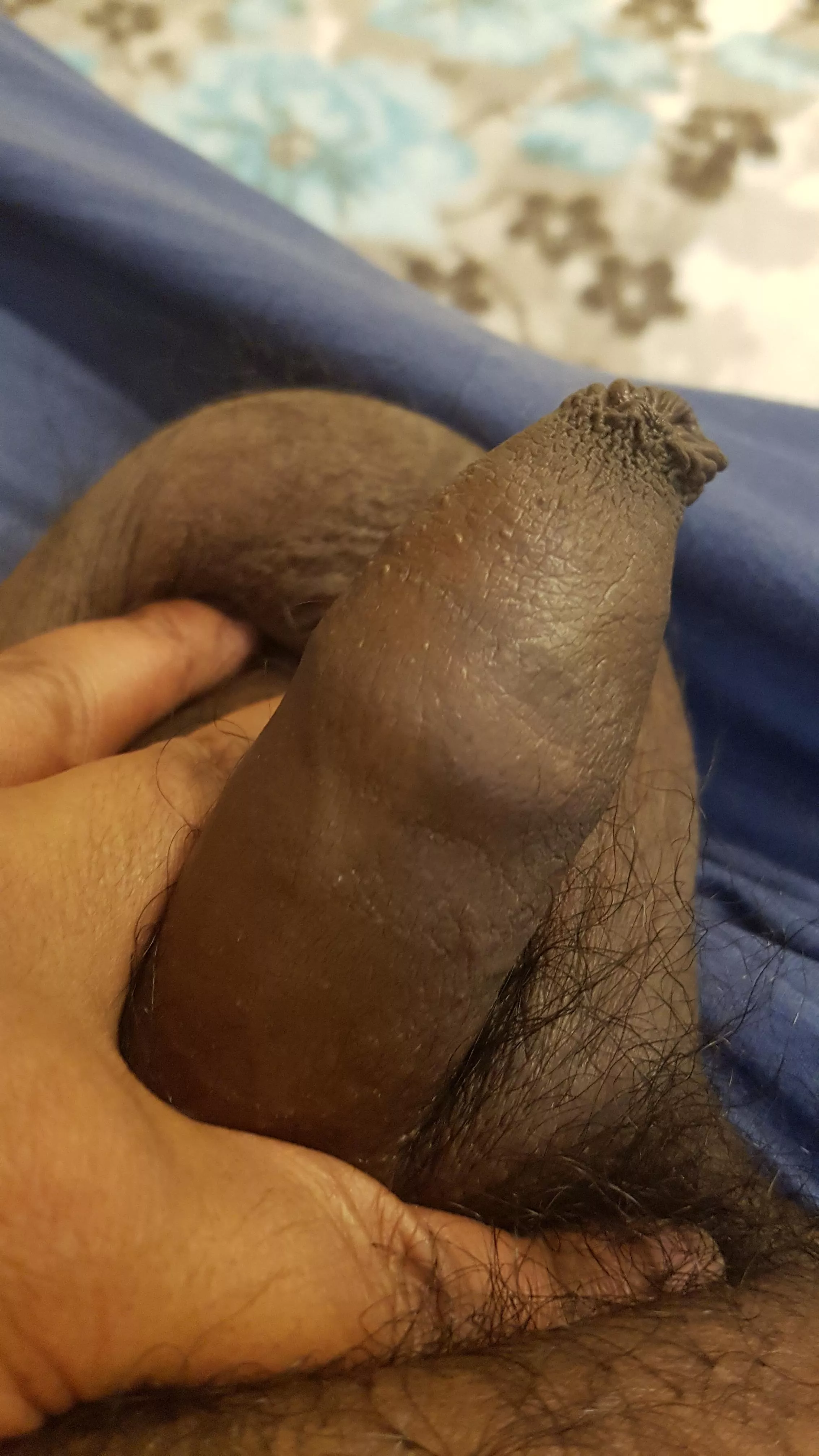 [29] 4x4 on a good day posted by YaBoiiTony