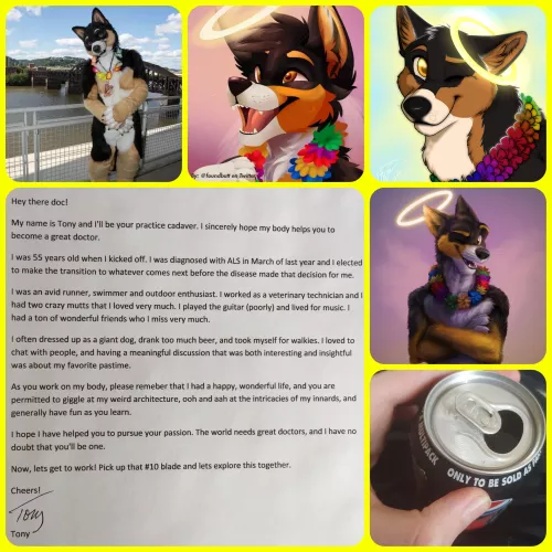 3 Year Anniversary To Dogbomb, RIP Buddy by TheAquaPho3n1x