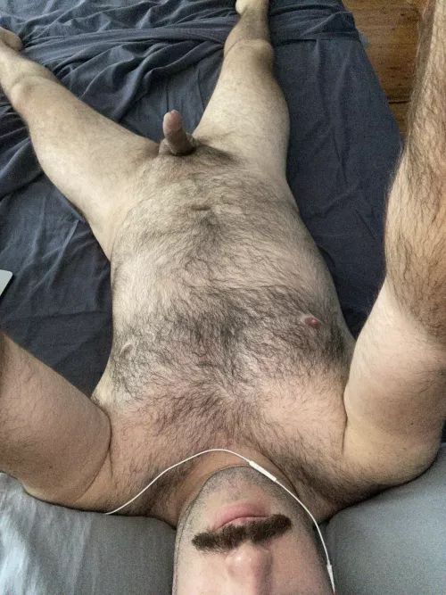 30 Aussie bi bear stuck in iso, tell me what you think! PMs are open by biaussieguy91