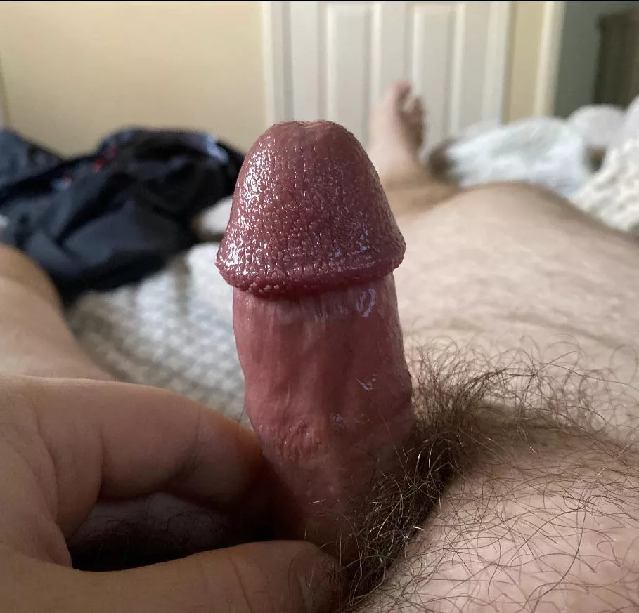 [30] Bricked up on a Monday. Anyone like my cock? 👀 posted by mower_guy54