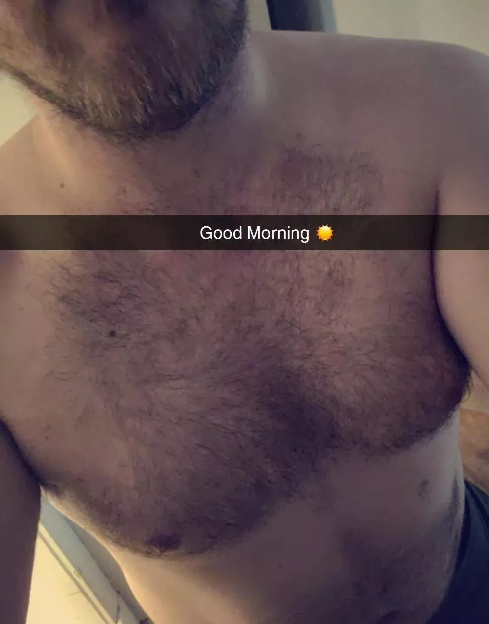 30 Gay Vers Bear 🐻 posted by KindheartednessKey63