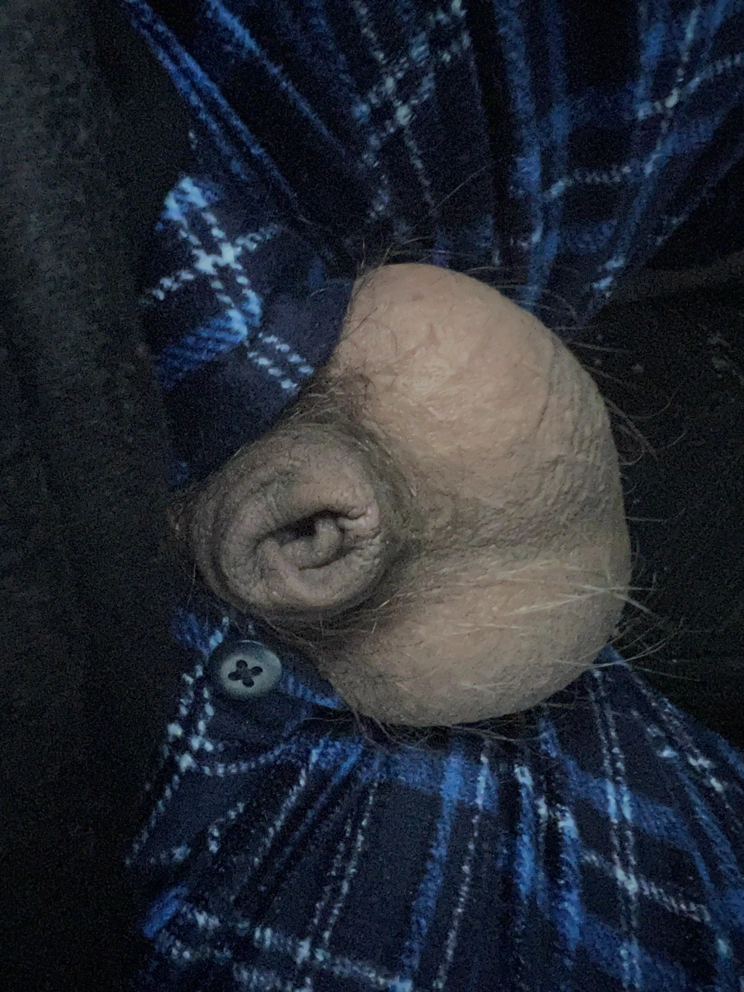 [30] morning everyone! Anyone want to chat? posted by cbp1909