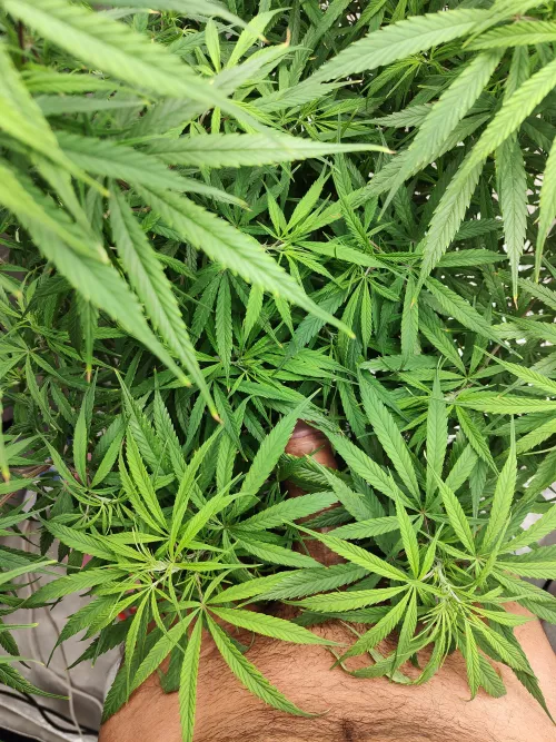 30M by that_kinky_chuck