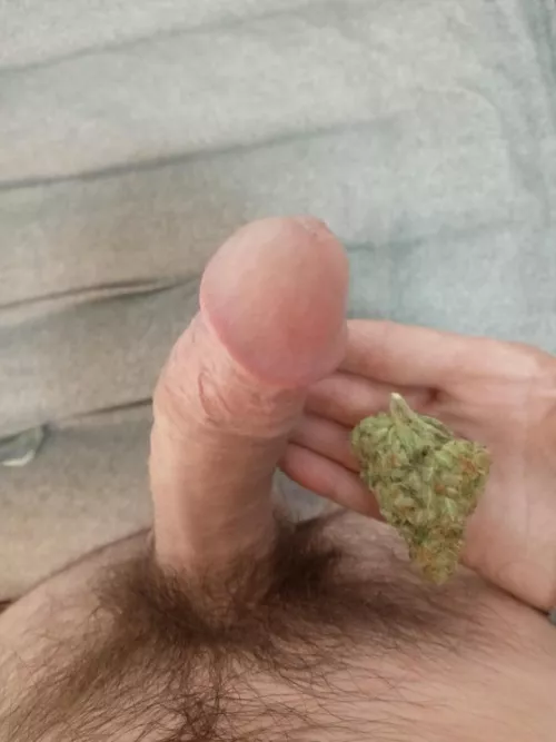 [30M] Dick and Nugs for the horny stonettes by SecretWhispers001