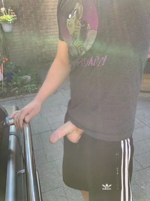 (30s) How does boners, beers and barbecue sound for the day bro? by inter-mediate