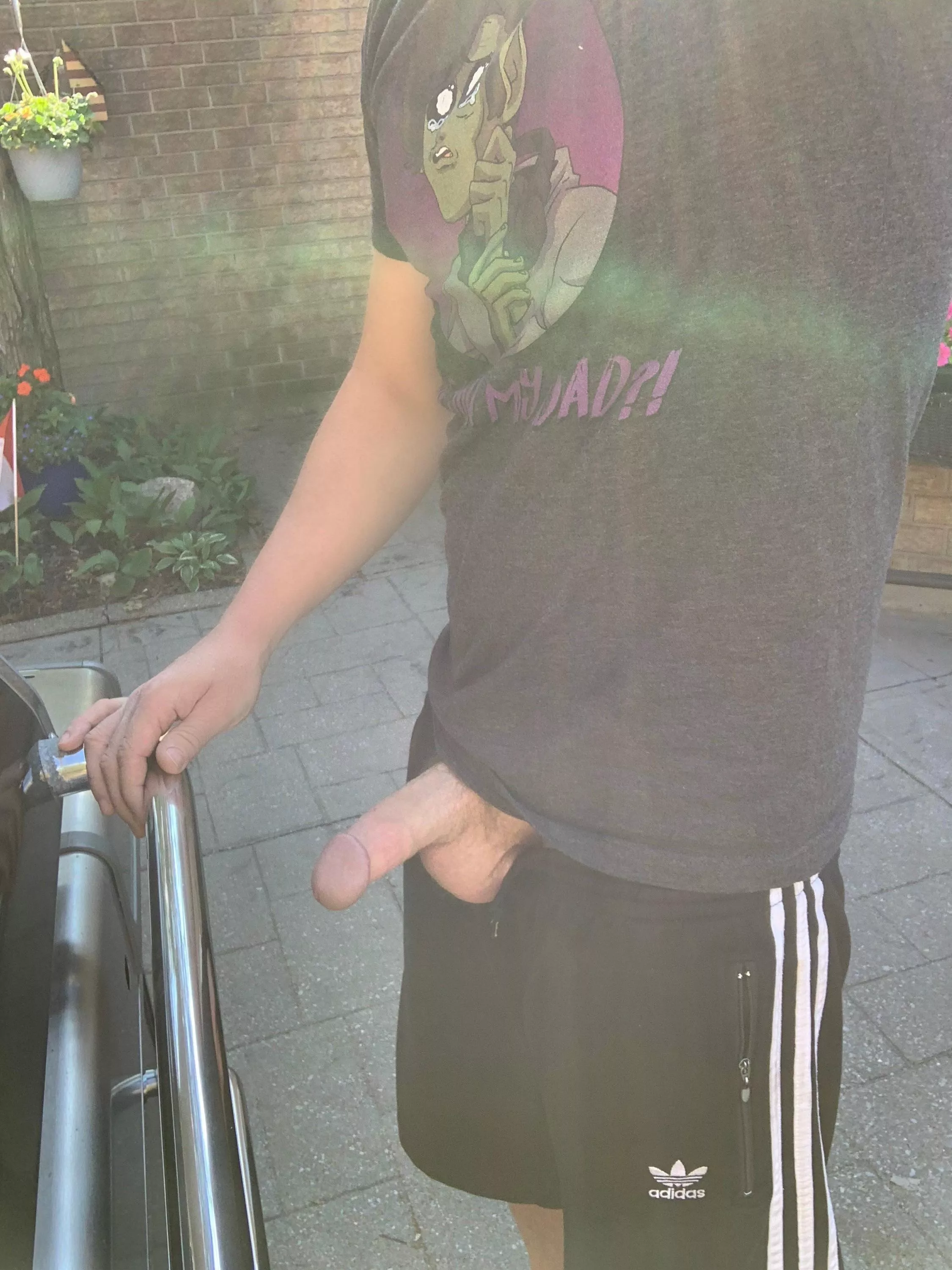 (30s) How does boners, beers and barbecue sound for the day bro? posted by inter-mediate