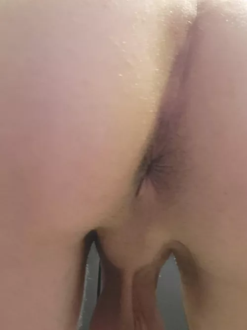 30yo m freshly shaved hole by Joshie1990s