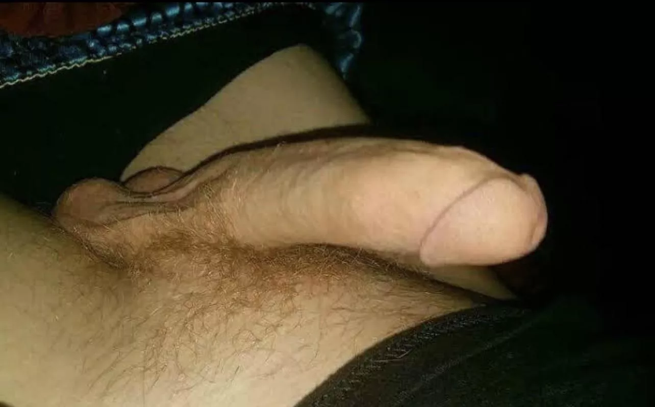 [31] Bi Hung Ginger. HMU M4F or M4MF… Open to Bi Buddies. posted by B_Rad_D
