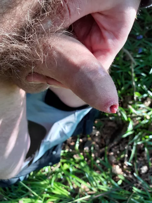 (31) Does my little man look good here?? I think so by Ok-Capital-548