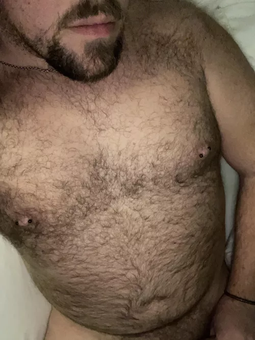 31 m first post new profile by versbear2022