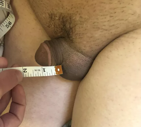 [31] Thought I’d measure it for everyone to enjoy. by urboard