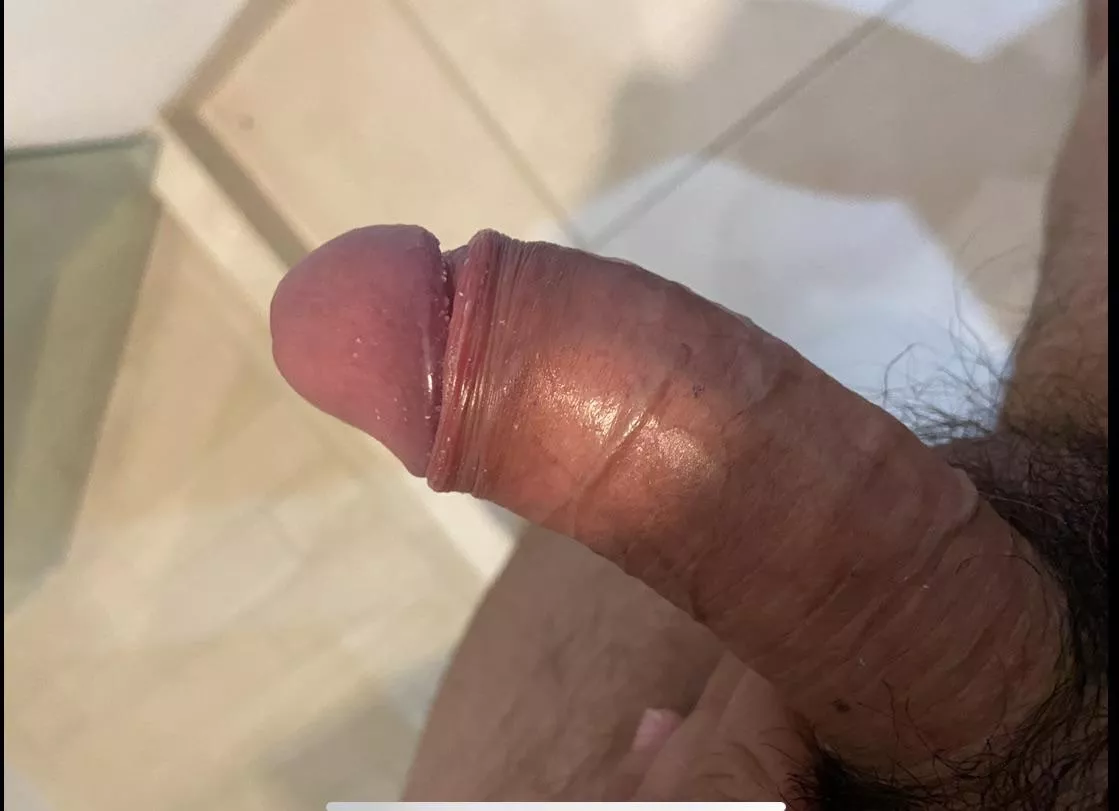 [32] Before going to sleep… zzz posted by Low-Praline3989