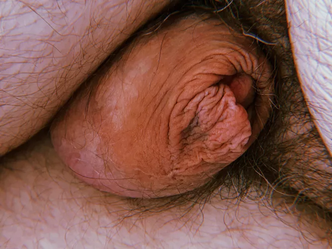 [32] here’s my tiny belly button dick. Hope you like it. by RPG_Nerd7777