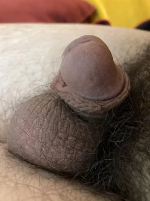 [33] All head no shaft by SwitchStoner