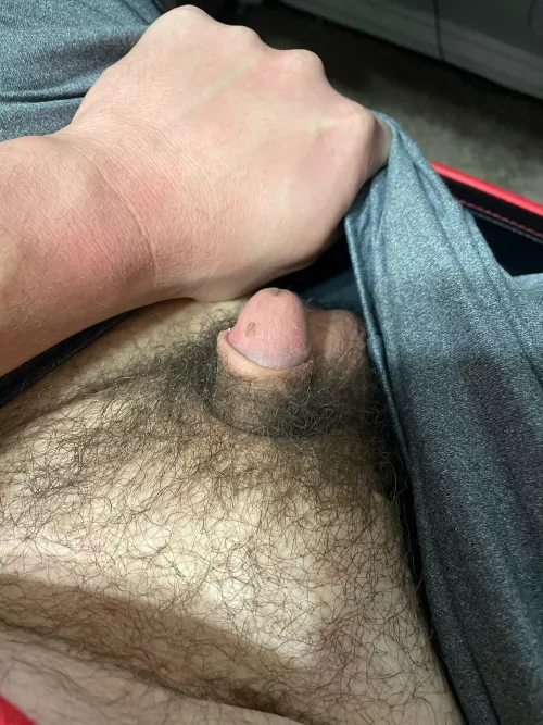 [33] Hey all, what do you think? by OkAsk366