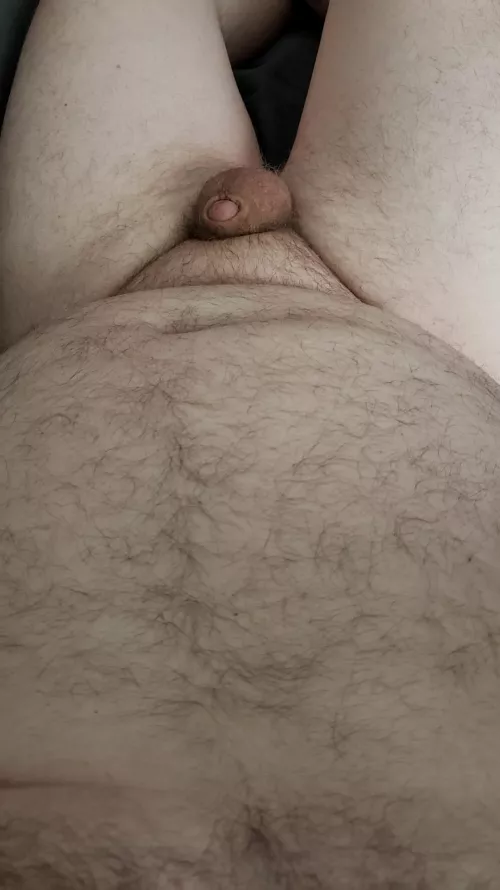 [33] my little 🐢 by Small_schlong88