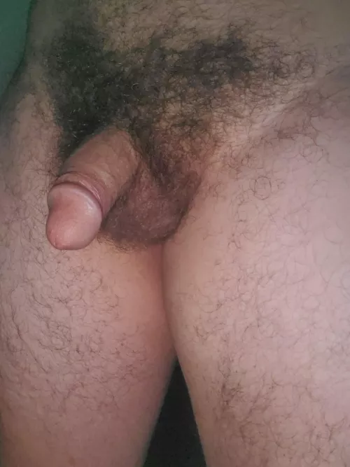 (34) Airing out the bush this morning by Norvino6140