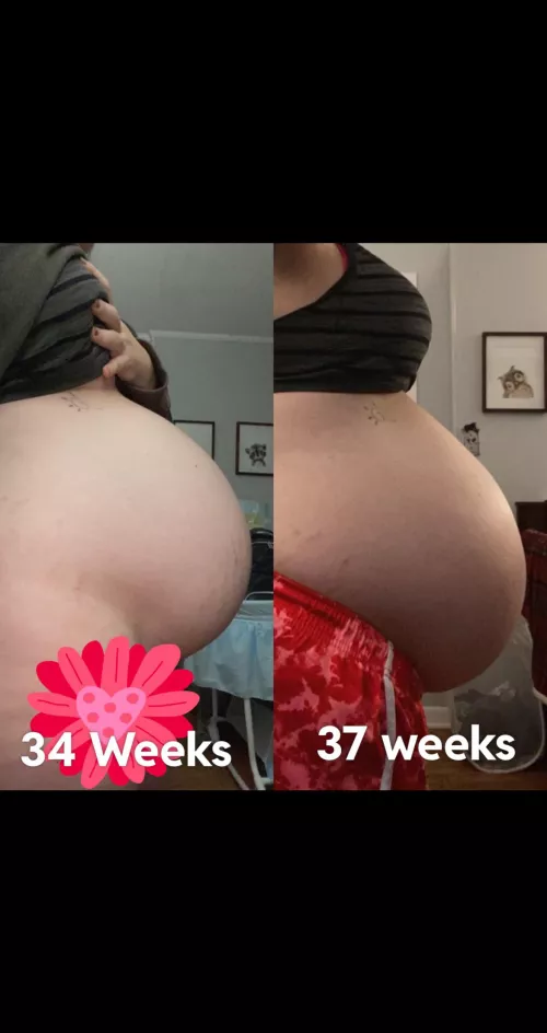 34weeks vs. 37weeks. Does the baby look like he dropped? by Stunning-Scar-5354