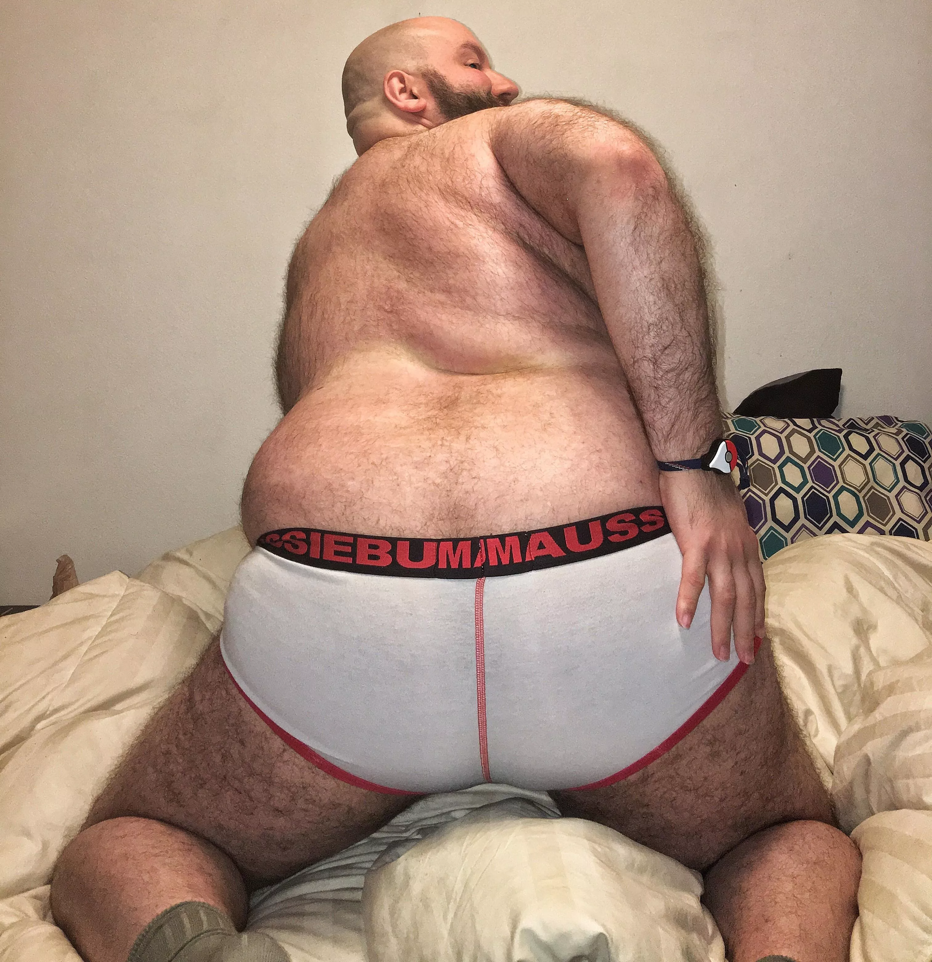 (35) gay bottom. DMs always open. Never been bred before just fyi. posted by Foxxykevin2