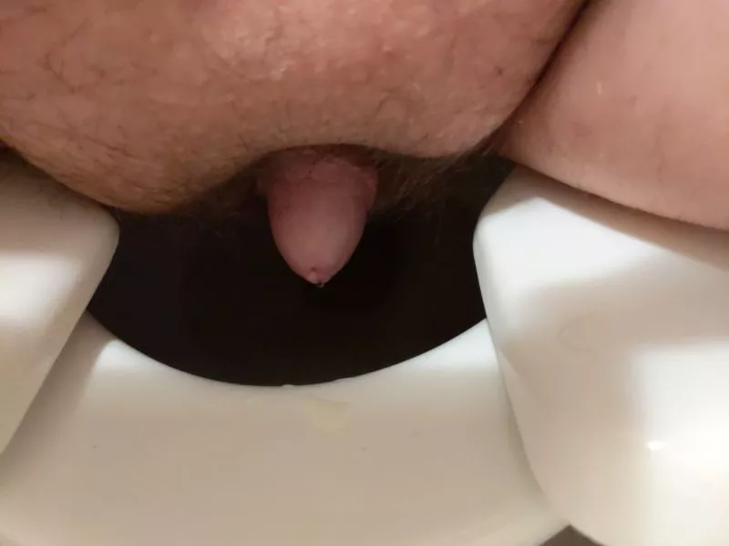 [35] Sadly for me I think I'm too tiny to penetrate posted by nerdyteddy