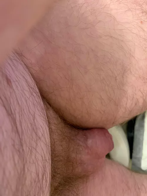 [36] bottom uncut daddy for degradation. PMs open. by Inevitable_Cellist14