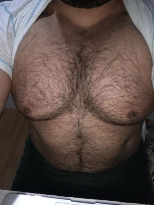 36. Hairy, Persian, married dad. Bottom curious. Anyone on Snapchat wanna connect? SC: closetedbear by researchdoor