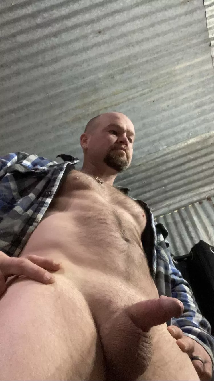 36 maybe i can get a boner win beard cums back posted by Real_Win6733