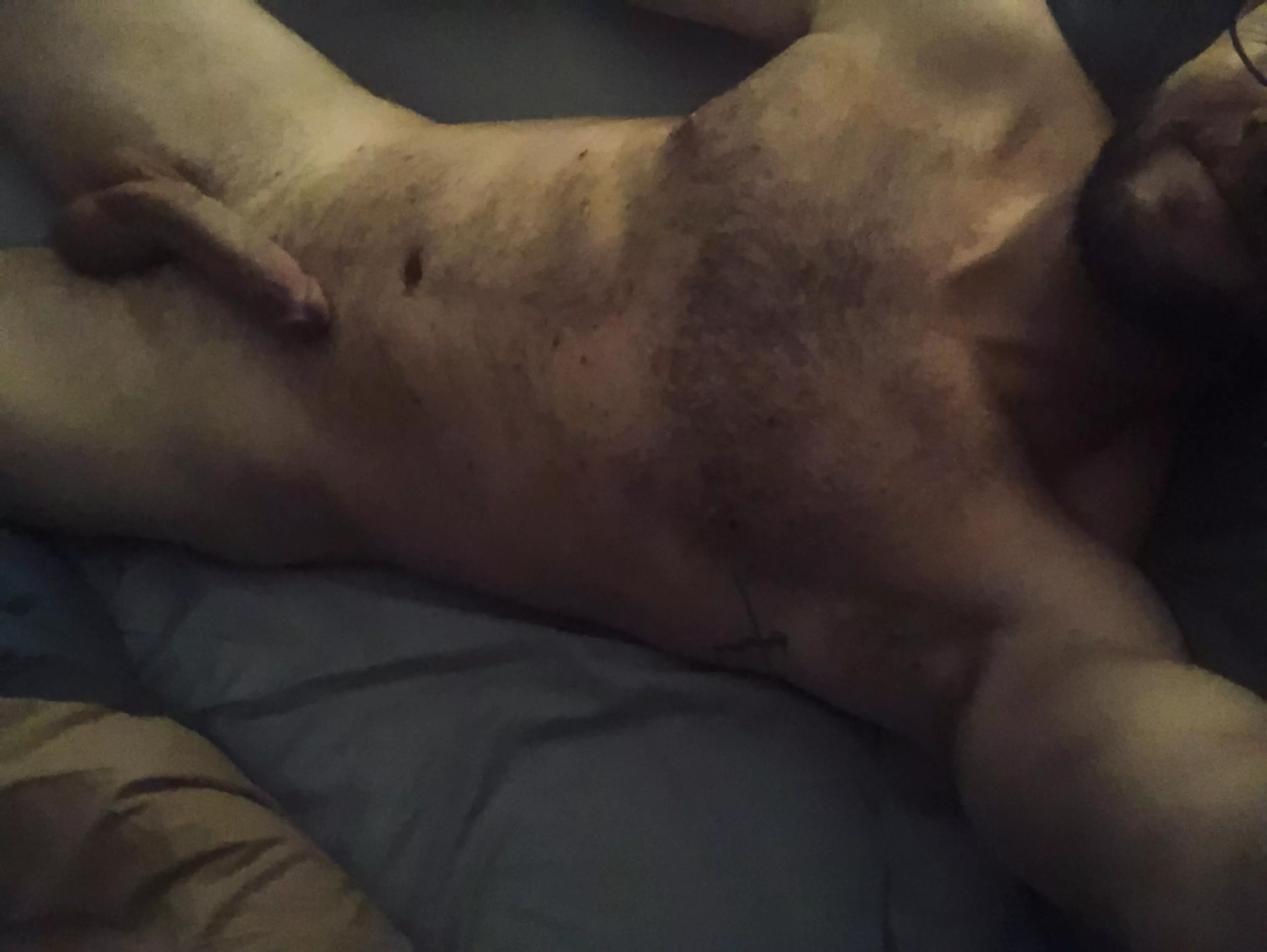 [37] feels good to be in bed…join me? posted by Spotaggrevator406