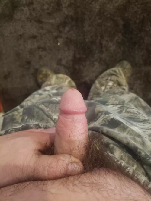 [38] by SnooHedgehogs5345