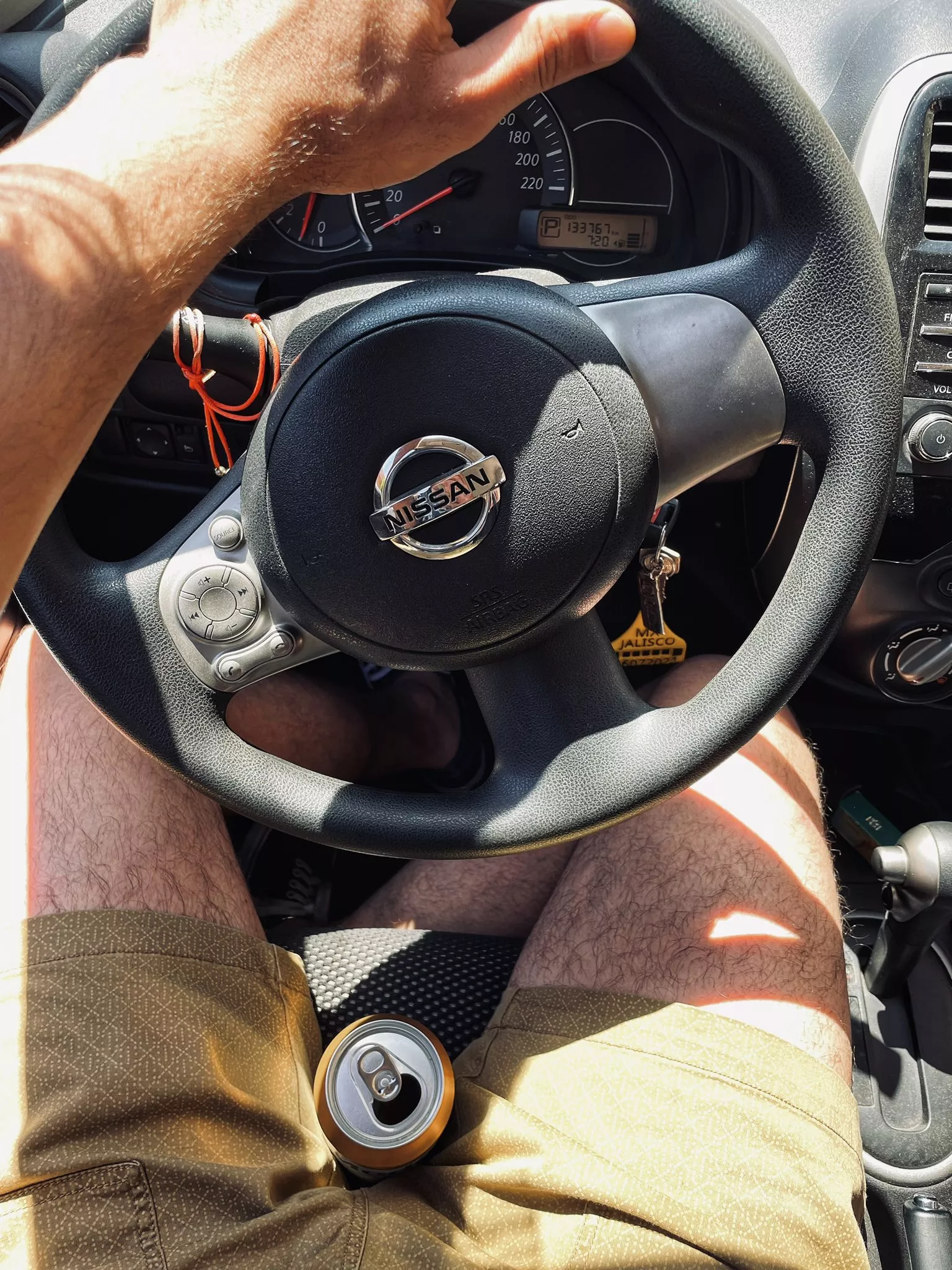 [38] wanna go for a ride? posted by Intelligent_Living51