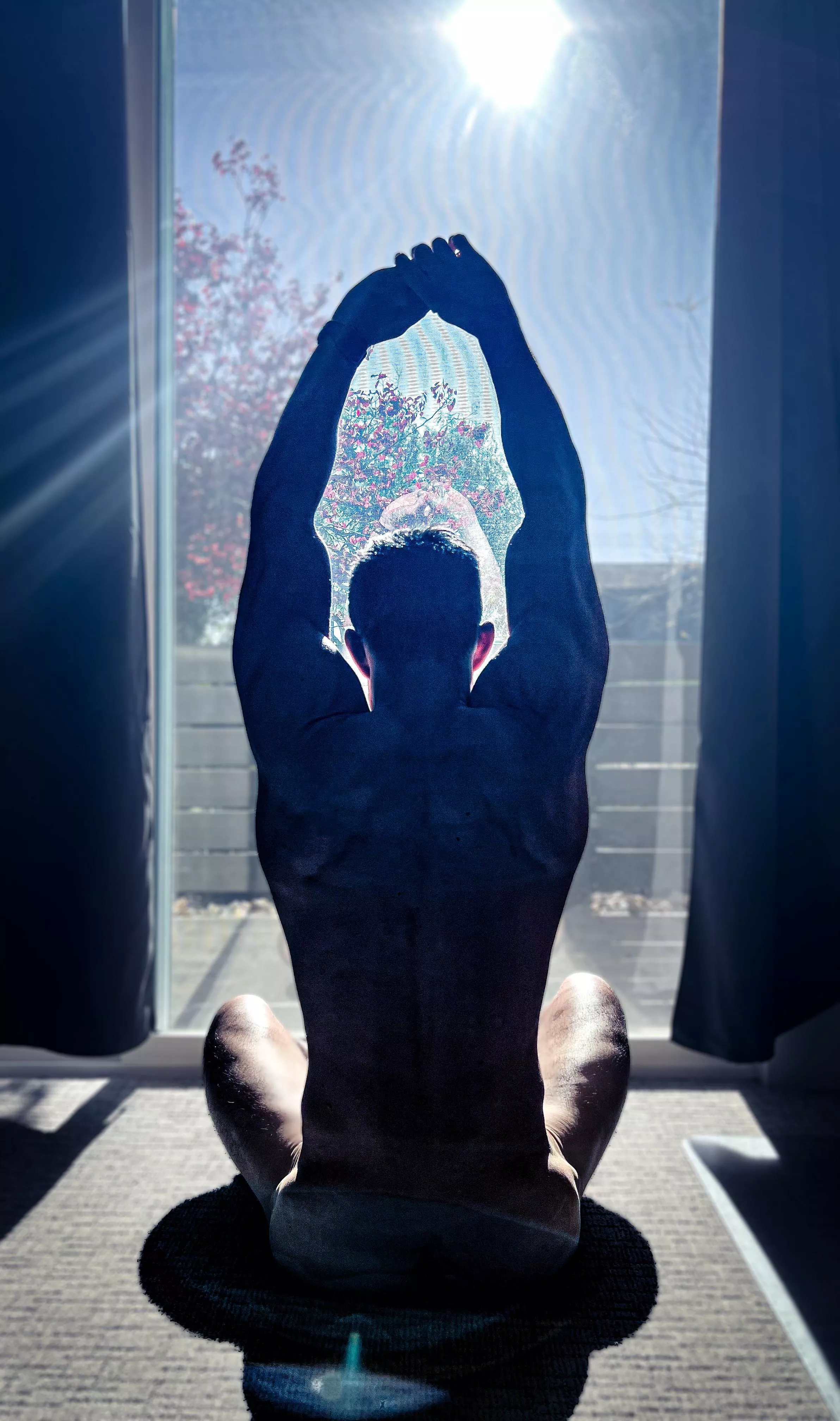 [39] Greeting the morning sun!! posted by LivingLife858