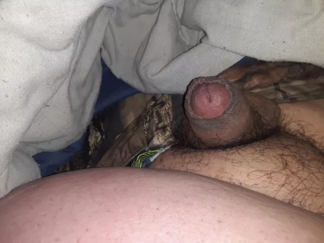 [39] my little buddy by perverttalk77