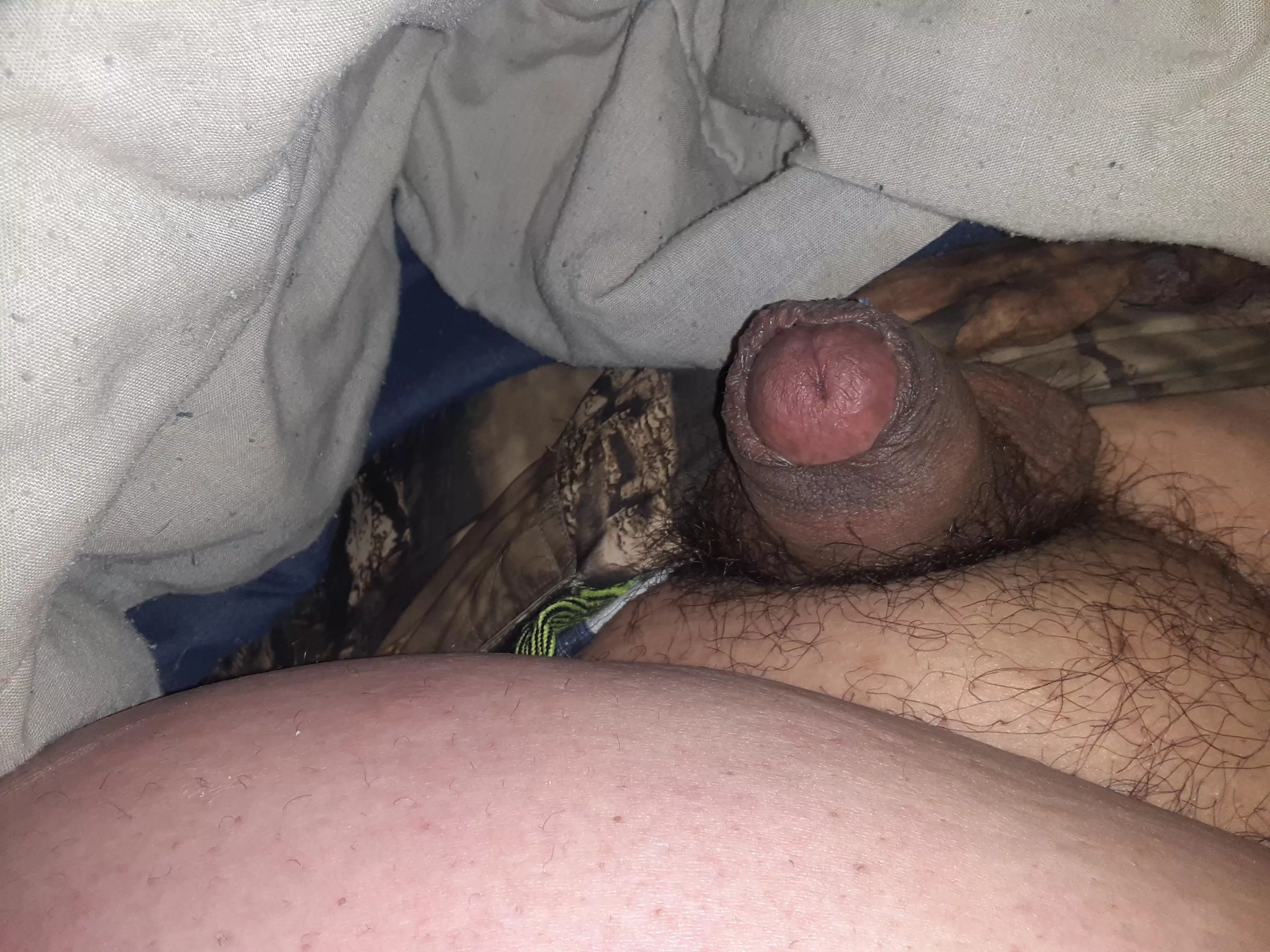 [39] my little buddy posted by perverttalk77