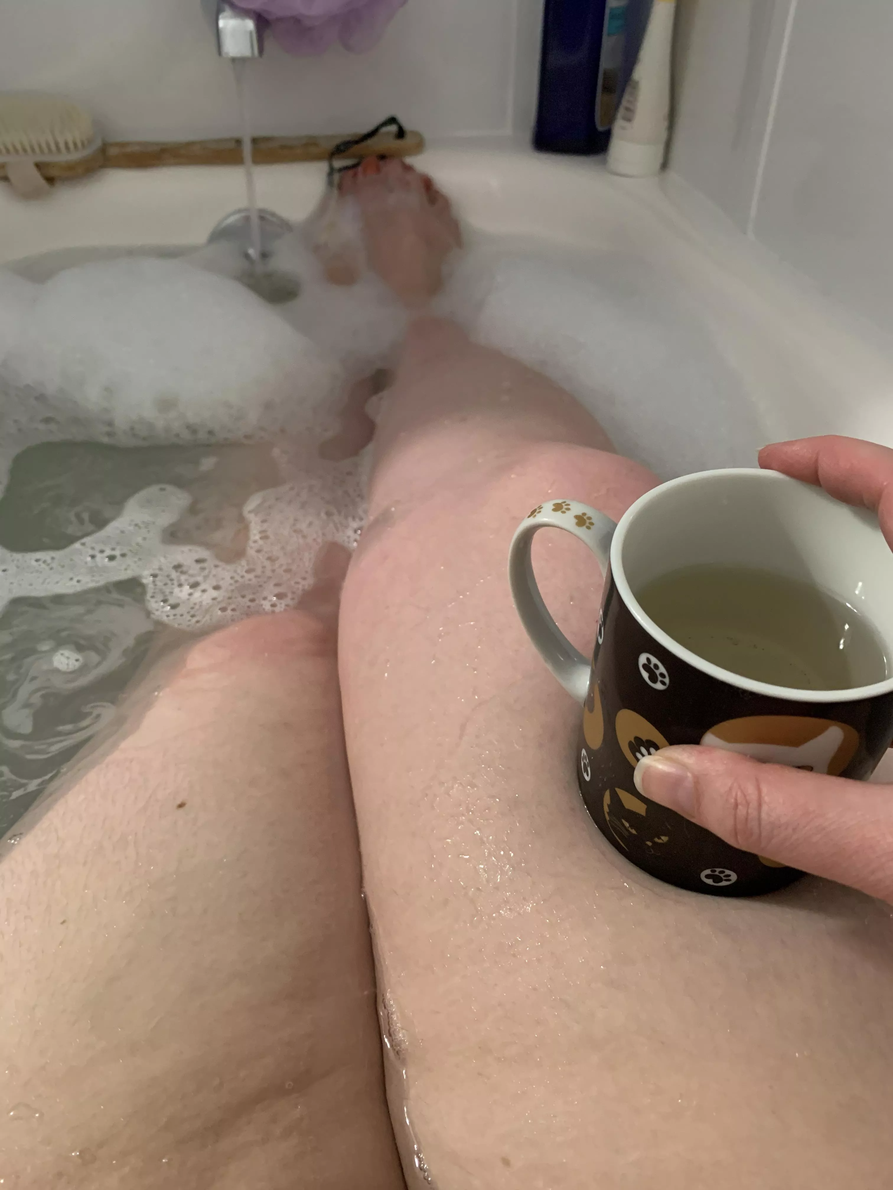 39F, 340, 5’ 4”. First post in a minute. Not the most revealing but still kind of nice. posted by invisible-queen