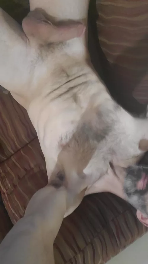 [40] just getting started ;) by chefchef81