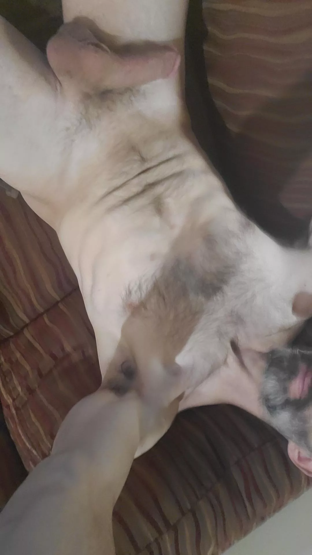 [40] just getting started ;) posted by chefchef81