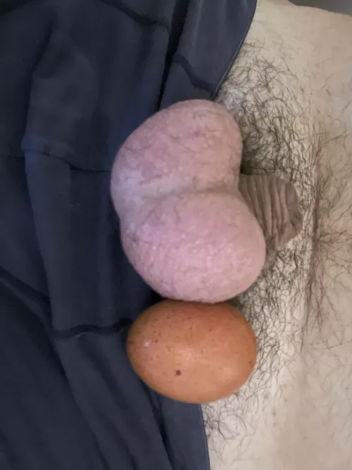 [41] Breakfast is almost ready, I just need a bigger sausage!!! by DanielX1981