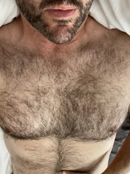 [42] Yes, or no? by ChristoGreyLA