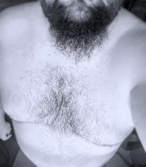 [42]Just some hairy chest by introvertedbhm