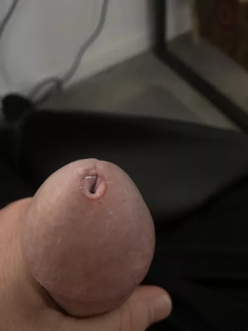 43 daddy is working from home feeling naughty you lurkers should cum say hi. by zeromph2016